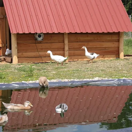Ferienhaus Fur Bis Zu 4 Personen Zur Seeseite - #125266 Holiday home Grobern