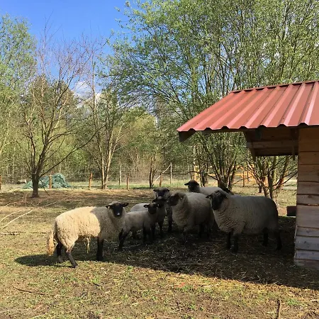 Ferienhaus Fur Bis Zu 4 Personen Zur Seeseite - #125266 Holiday home
